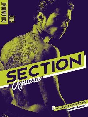 cover image of Section Aguara & Co--Tome 2